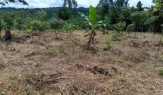 3 Acres Of Land For Sale In Mukono Kisoga Banda At 100m Per Acre