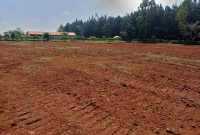 50x100ft Plots In An Estate In Kira Kitukutwe Nyungu Yamawe For Sale 65m Each