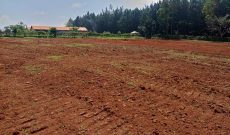 50x100ft Plots In An Estate In Kira Kitukutwe Nyungu Yamawe For Sale 65m Each