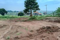 25 Decimals Plot Of Land For Sale In Munyonyo Kigo Rd At 300m