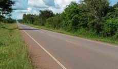 9600 Acres (15 square miles) Of Land For Sale In Kiryandongo At 7m Per Acre