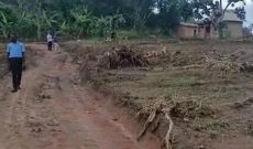 50x100ft Plots Of Land For Sale In Wakiso Bakka At 12m Per Plot