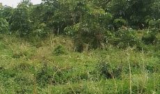 10 Acres Of Lake View Land For Sale In Garuga At 450m Per Acre