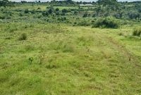 13.5 Acres Of Land For Sale In Buyege Kasanje Wakiso 70m Per Acre