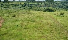13.5 Acres Of Land For Sale In Buyege Kasanje Wakiso 70m Per Acre