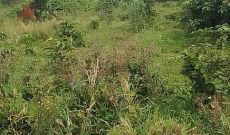 10 Acres Of Lake View Land For Sale In Garuga Entebbe Road 430m Per Acre