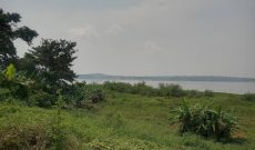 10.5 Square Miles Of Lake Shore Land For Sale In Masaka At 7m Per Acre