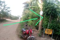 12 Decimals Plot Of Land For Sale In Nsasa Kira At 69m