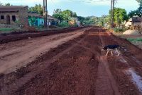 5 Acres Of Land For Sale In Kasanje Entebbe Road At 85m Per Acre