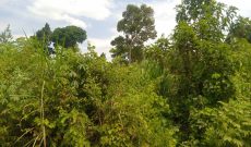 2.2 Acres Of Land For Sale Next To Hoima Stadium At 180m