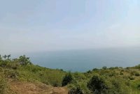 5 Acres Of Land For Sale In Bunambutye Bulambuli District 7m Per Acre