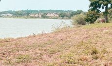3 Acres Of Land For Sale In Garuga On Lake Shore At 270,000 USD Per Acre