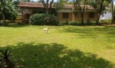4 Bedrooms House For Rent In Mbuya Kampala 1,200 USD Per Month