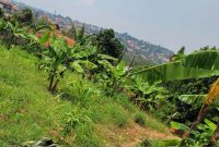 15 Decimals Of Land For Sale In Kira Shimoni 100m
