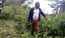 240 Acres Of Land On Buvuma Island For Sale At 3m Per Acre