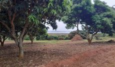 1 Acre Lake View Land For Sale In Garuga Entebbe Road At 600m