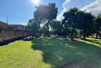 100x100ft Plot Of Fenced Land For Sale On Mawanda Road At 600m
