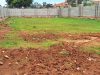 50x100ft-plot-of-land-in-a-wall-fence-for-sale-in-kira-mulawa-at-80m