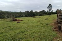 8 Acres Land For Sale In Kasanje At 60m Per Acre