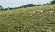 50x100ft Plots Of Land For Sale In Kira Kitukutwe 65m Per Plot