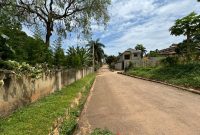 50x100ft Plot Of Land For Sale In Buziga At 320m