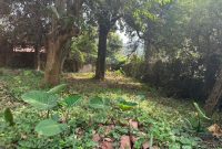 14 Decimals Plot Of Land For Sale In Kololo At 350,000 USD