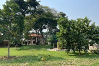 4 Bedrooms Lake Shore House For Sale In Garuga Entebbe On 1 Acre At $700,000
