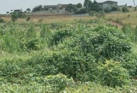 50x100ft Plots Of Land For Sale In Ssisa Entebbe Road At 45m Each