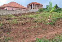 100x100 Plot Of Land For Sale In Kira Nsasa Going For 165m Uganda Shillings
