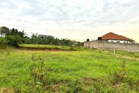 100x100ft Plot Of Land For Sale In Kyanja At 320m Shillings