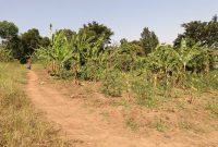 Kapeeka 10 acres for sale at 16m per acre