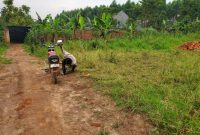 4 Plots Of Land Measuring 30x40ft For Sale In Matugga Kiweebwa At 4m Shillings Each