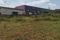 11 Decimals Plot Of Land For Sale In Gayaza Kiwenda 21m Shillings