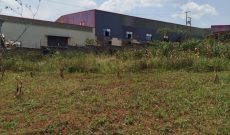 11 Decimals Plot Of Land For Sale In Gayaza Kiwenda 21m Shillings