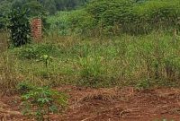30x50ft Plot Of Land For Sale In Namusera At 9m Shillings