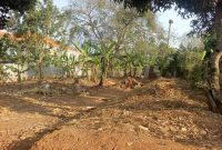 25 Decimals Plot Of Land For Sale In Kiwatule Bidandi At 470m Shillings