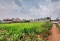 3 Plots Of 50x100ft For Sale In Namugongo Protestant Shrine At 55m Each
