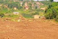 Plots Of 50x100ft For Sale In Wakiso Namayumba At 13m Each