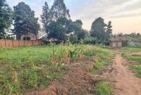 10 Acres Of Land For Sale In Kabembe Mukono Along Kayunga Road At 45m Per Acre