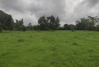 77 Acres Of Land For Sale In Wakiso Town At 90m Shillings Per Acre