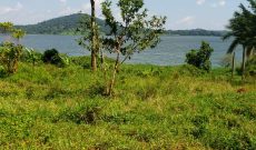 1 Acre Lake View Land For Sale In Garuga Entebbe Road At 480m Shillings
