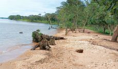 6.7 Acre Shell Hotel Beach Resort For Sale in Kalangala Ssese Island At 360,000 USD