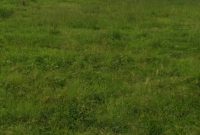 20 Acres Of Land For Sale In Kikyusa Buzibwera Luwero At 9m Per Acre