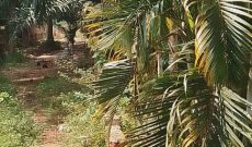 4 Acres Of Lakeshore Land For Sale In Bugiri Bukasa Bwerenga Road At 1.5 Billions Shillings
