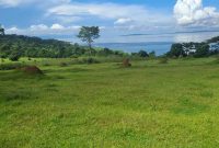 200 Acres Of Lake Shore Land For Sale In Buvu Kisoga Mukono At 80m Per Acre