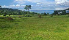 200 Acres Of Lake Shore Land For Sale In Buvu Kisoga Mukono At 80m Per Acre