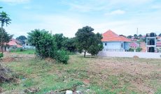 42 Decimals Plot Of Land For Sale In Namugongo Nsawo At 400m Shillings