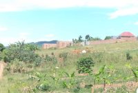 2 Acres Of Land For Sale In Namayumba Hoima Road At 45m Per Acre