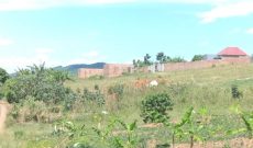 2 Acres Of Land For Sale In Namayumba Hoima Road At 45m Per Acre