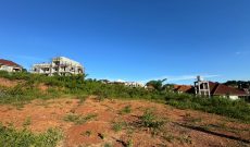 45 Decimals Plot Of Land On A Hill For Sale In Kira Town At 350m